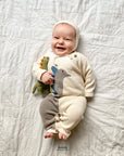 Baby Rattle Toy - Dinosaur