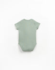 Ribbed Bodysuit Short Sleeves - Sage