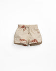 Swim Shorts - Chameleon