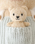 Alexander the Honey Bear