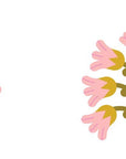 Spring Street Touch and Trace: Opposites