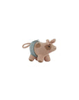 Hugo Mini Pig