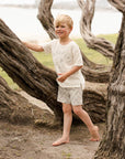 Boardshort - Palm Check