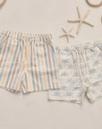Boardshort - Stripes