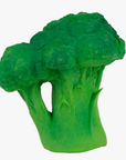 Brucy the Broccoli