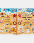 What A Shell Can Tell