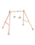 Play Gym