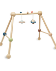 Play Gym