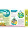 Barefoot Books Water: A Deep Dive of Discovery