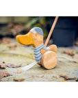 Push Toy Duck