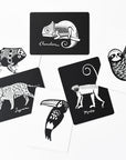 Wee Gallery Art Cards - Rainforest Collection