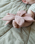 SET CRINKLE AND RATTLE BABY TOYS LILY POND
