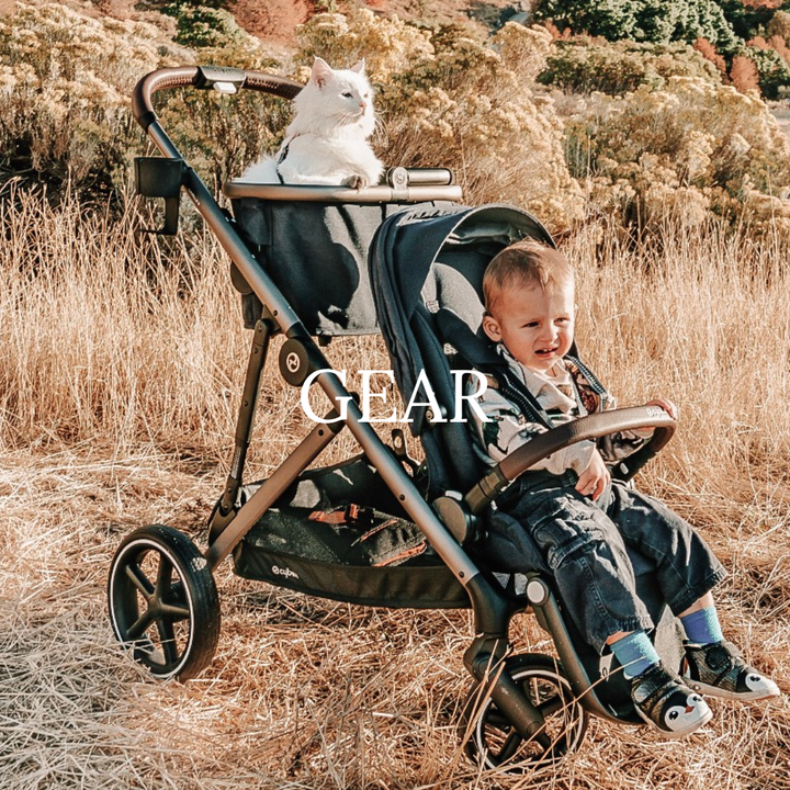 Baby in a stroller