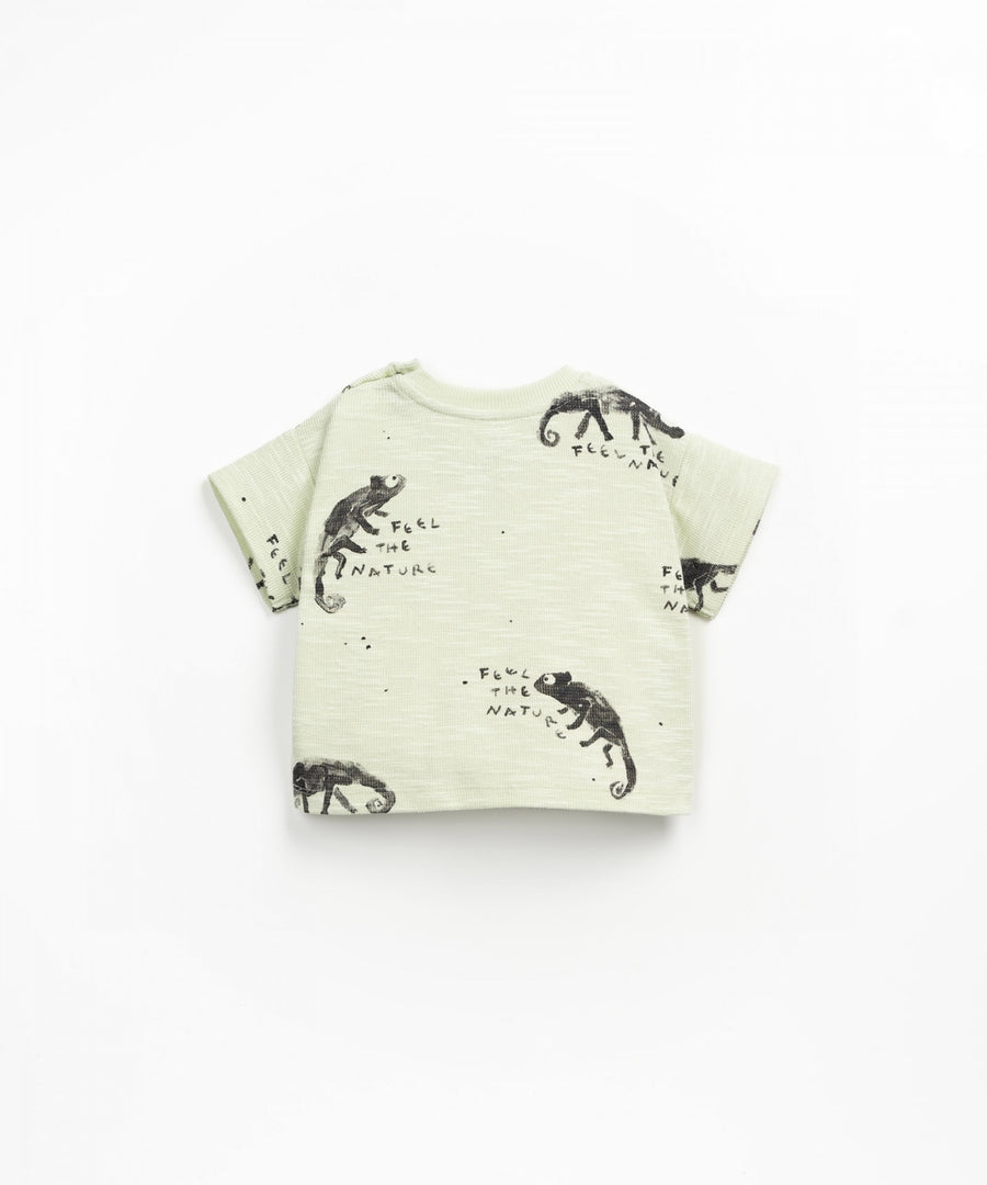 Organic Cotton Flamé T-Shirt - Green Chameleon