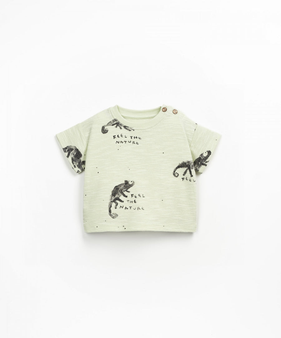 Organic Cotton Flamé T-Shirt - Green Chameleon