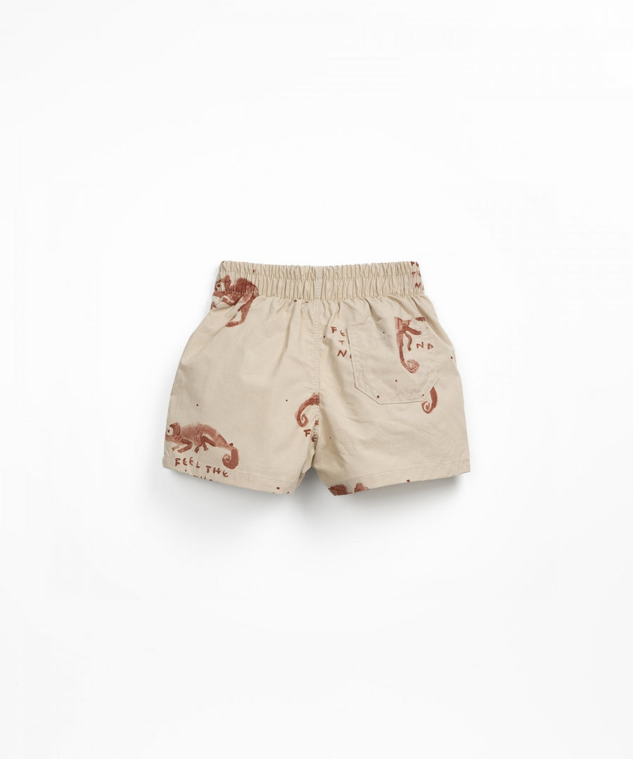 Swim Shorts - Chameleon