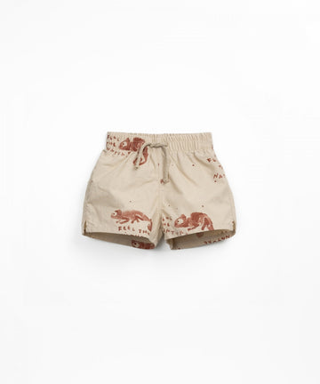 Swim Shorts - Chameleon