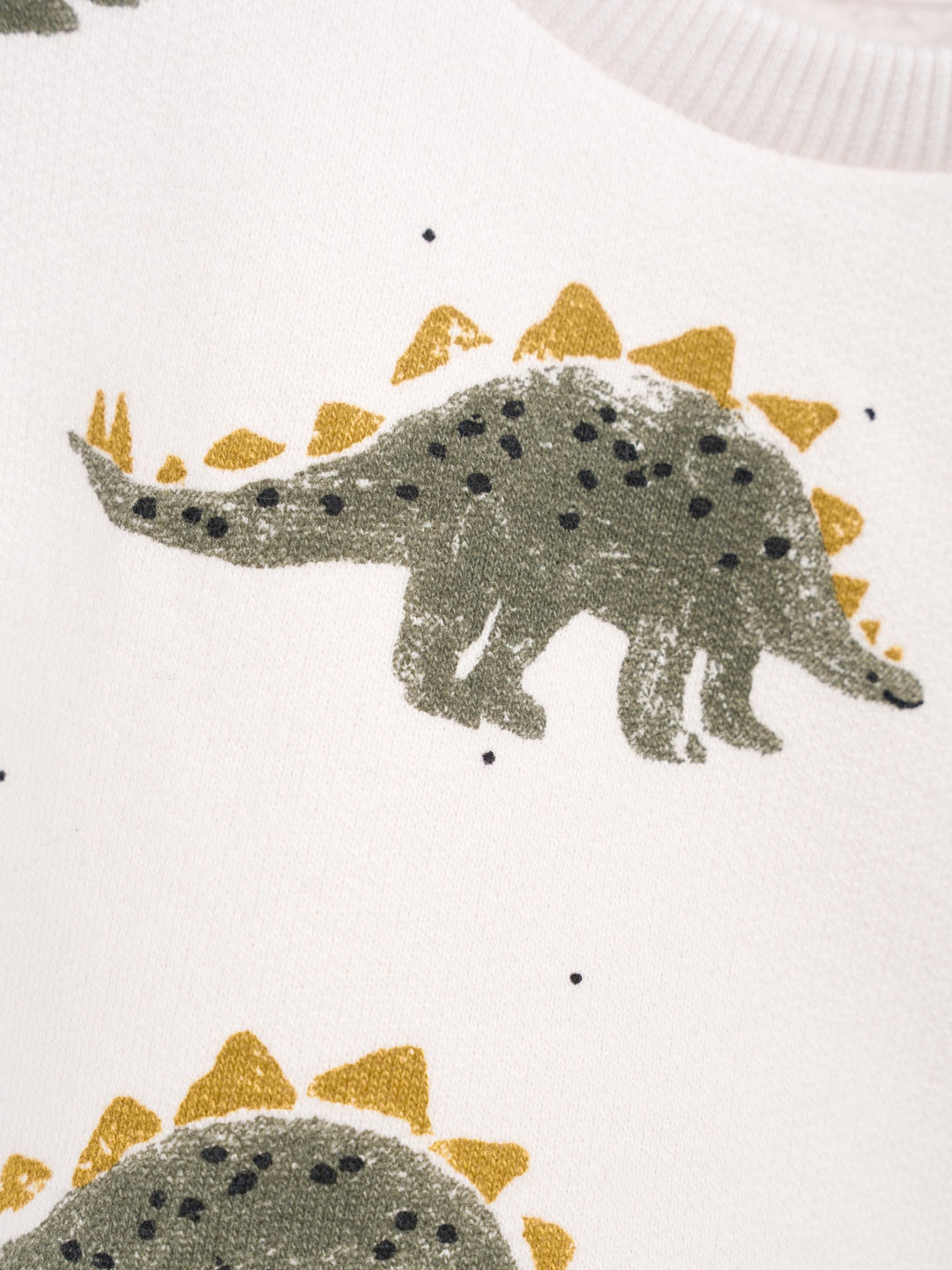 Organic Cotton Knit Sweater - Dinos