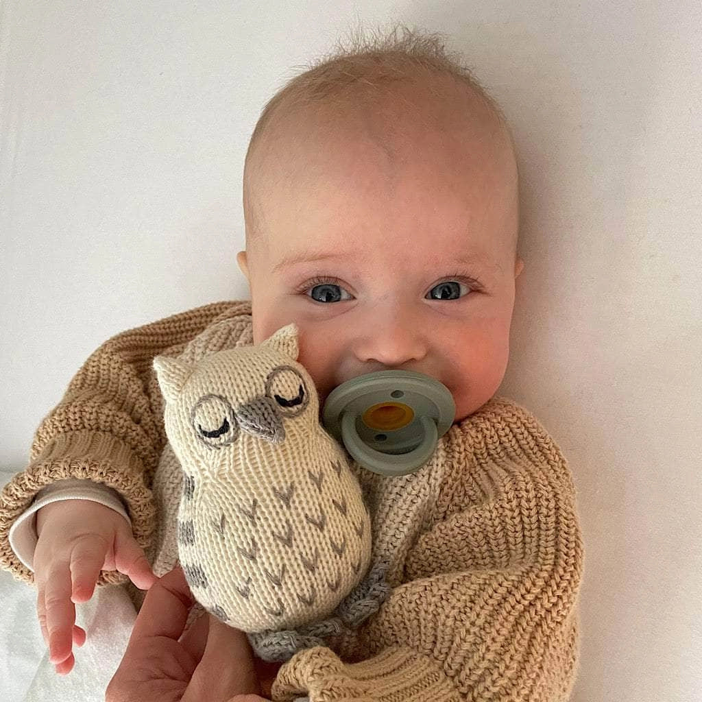 Baby Rattle Toy - Owl Rattle