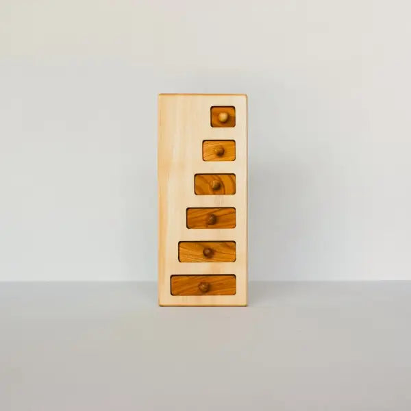 Montessori Long to Short Puzzle