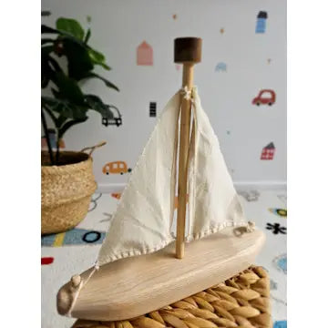 Ecovoyager Recycled Tree Sailing Boat