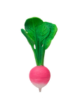 Ramona the Radish