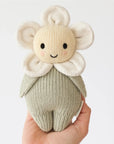 Baby Daisy (Ivory)