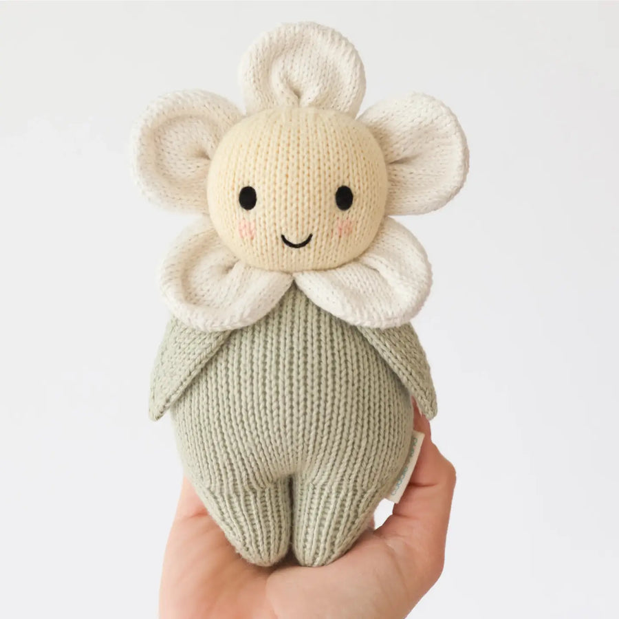 Baby Daisy (Ivory)