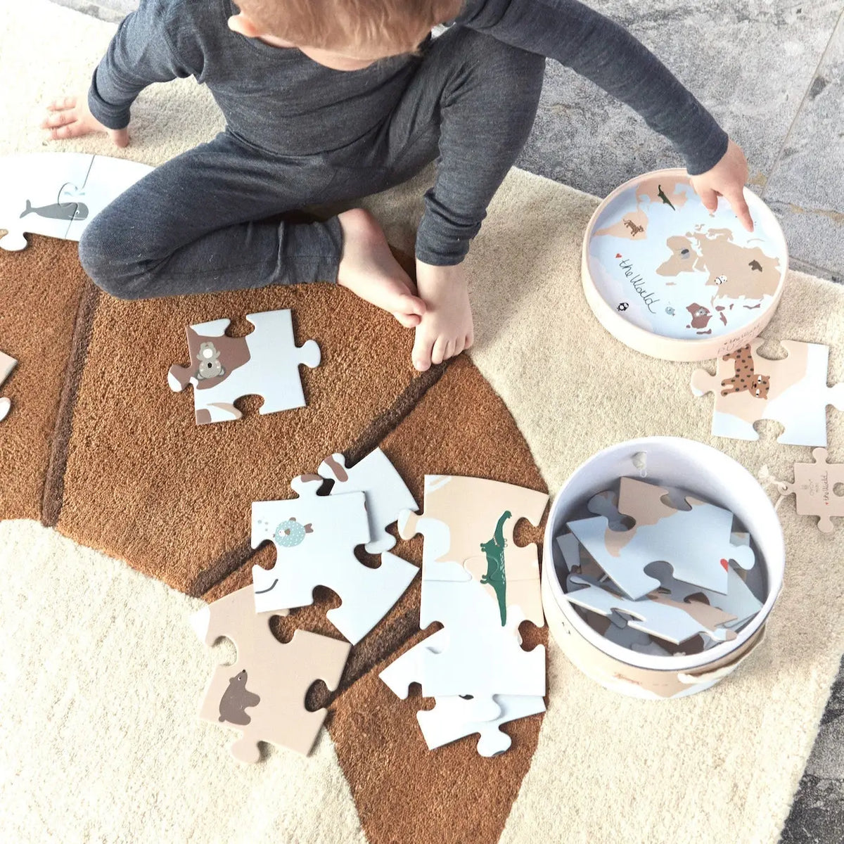 The World Puzzle