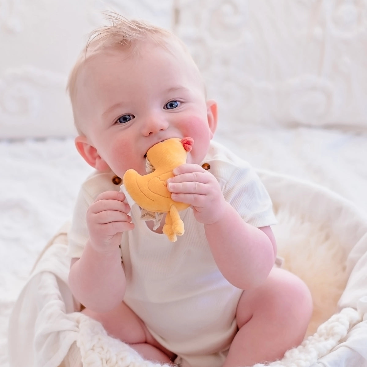Tara the Duck Tag Along Pram Toys