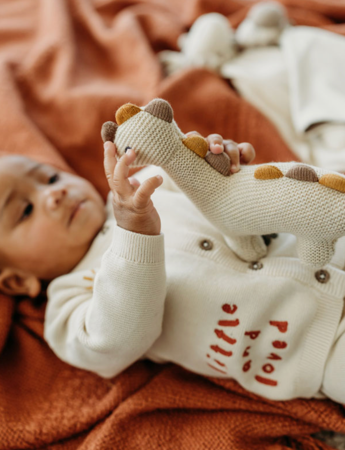 Little Dino - Organic Knit Stuffed Animal Baby Toy