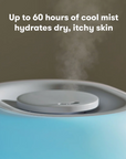 3-in-1 Humidifier