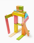Tegu 24 Piece Set