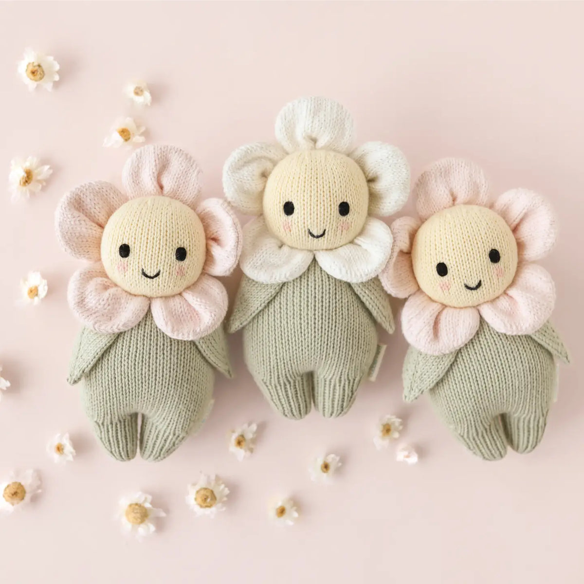 Baby Daisy - Ivory