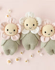 Baby Daisy (Ivory)