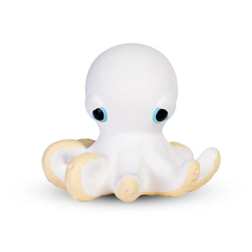 Orlando the Octopus