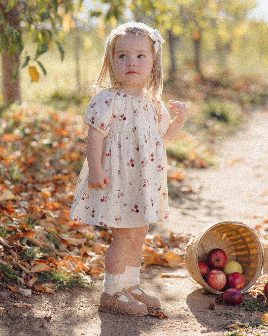 Bella Dress Apples