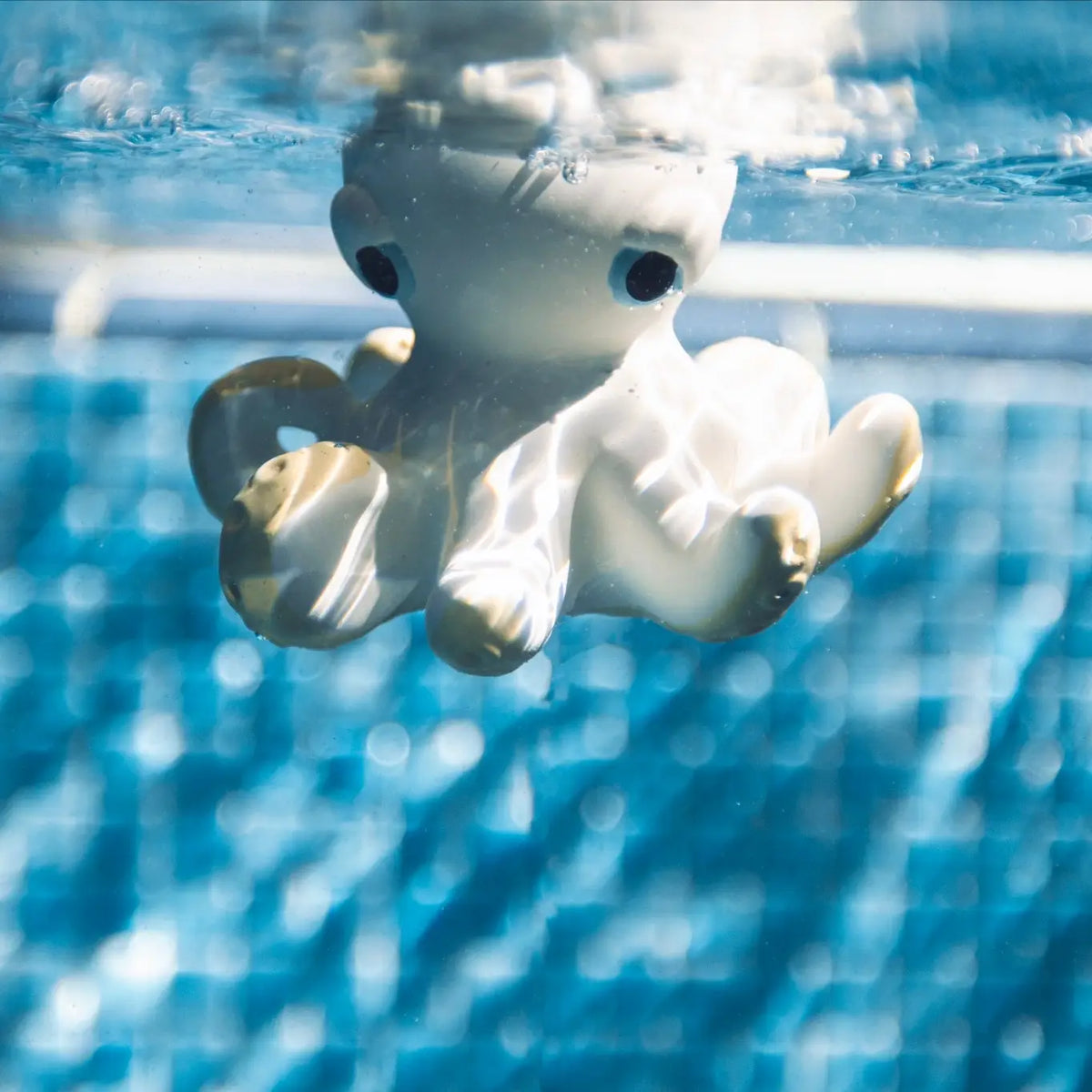Orlando the Octopus