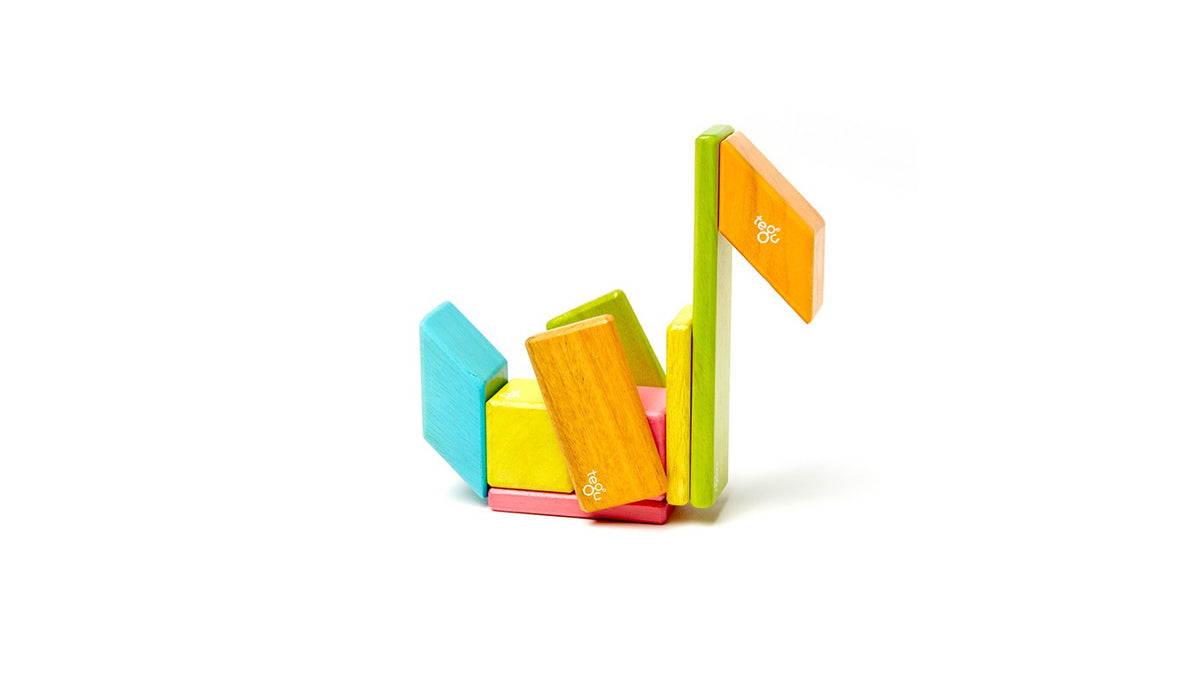 Tegu 14 Piece Set - Assorted Colors