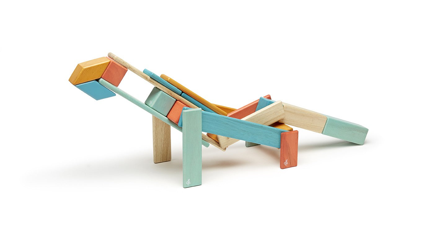Tegu 24 Piece Set