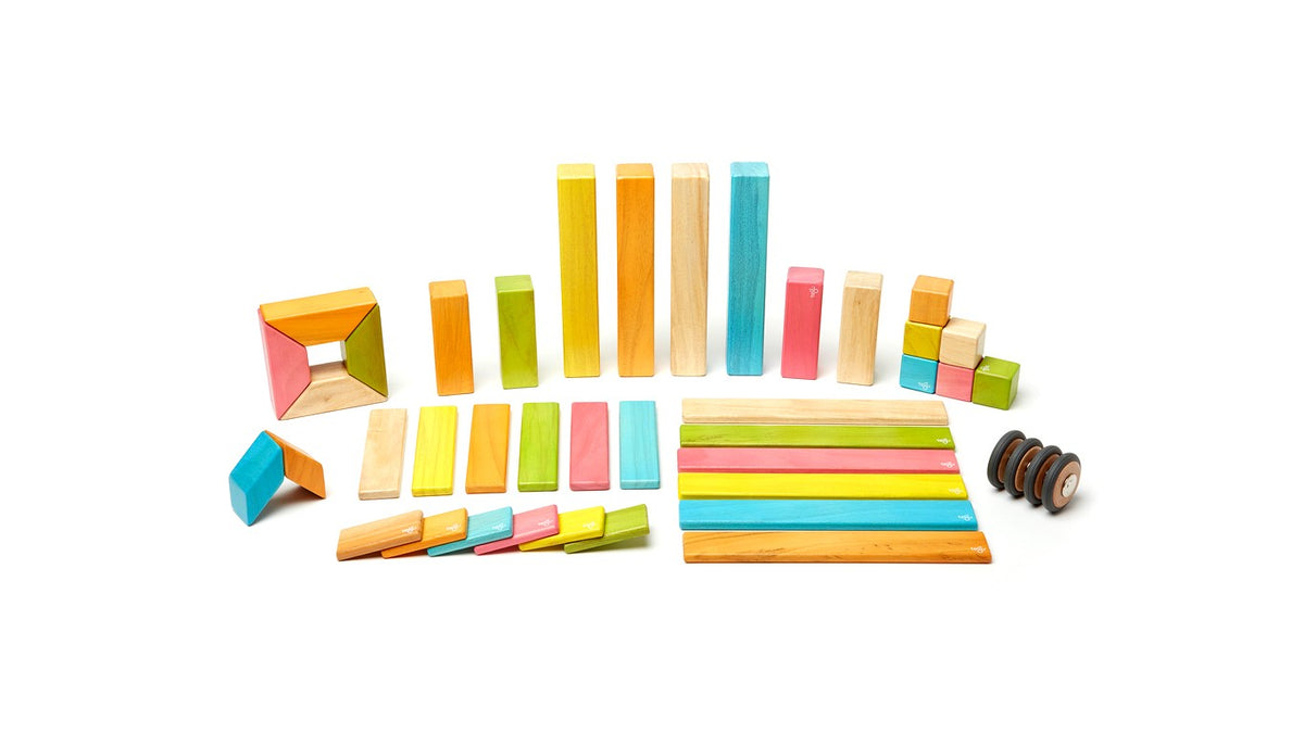 Tegu 42 Pieces