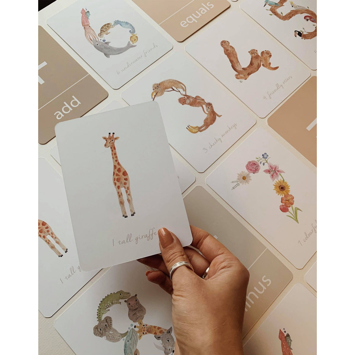 Number Flashcards