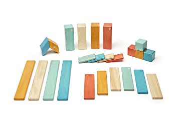 Tegu 24 Piece Set