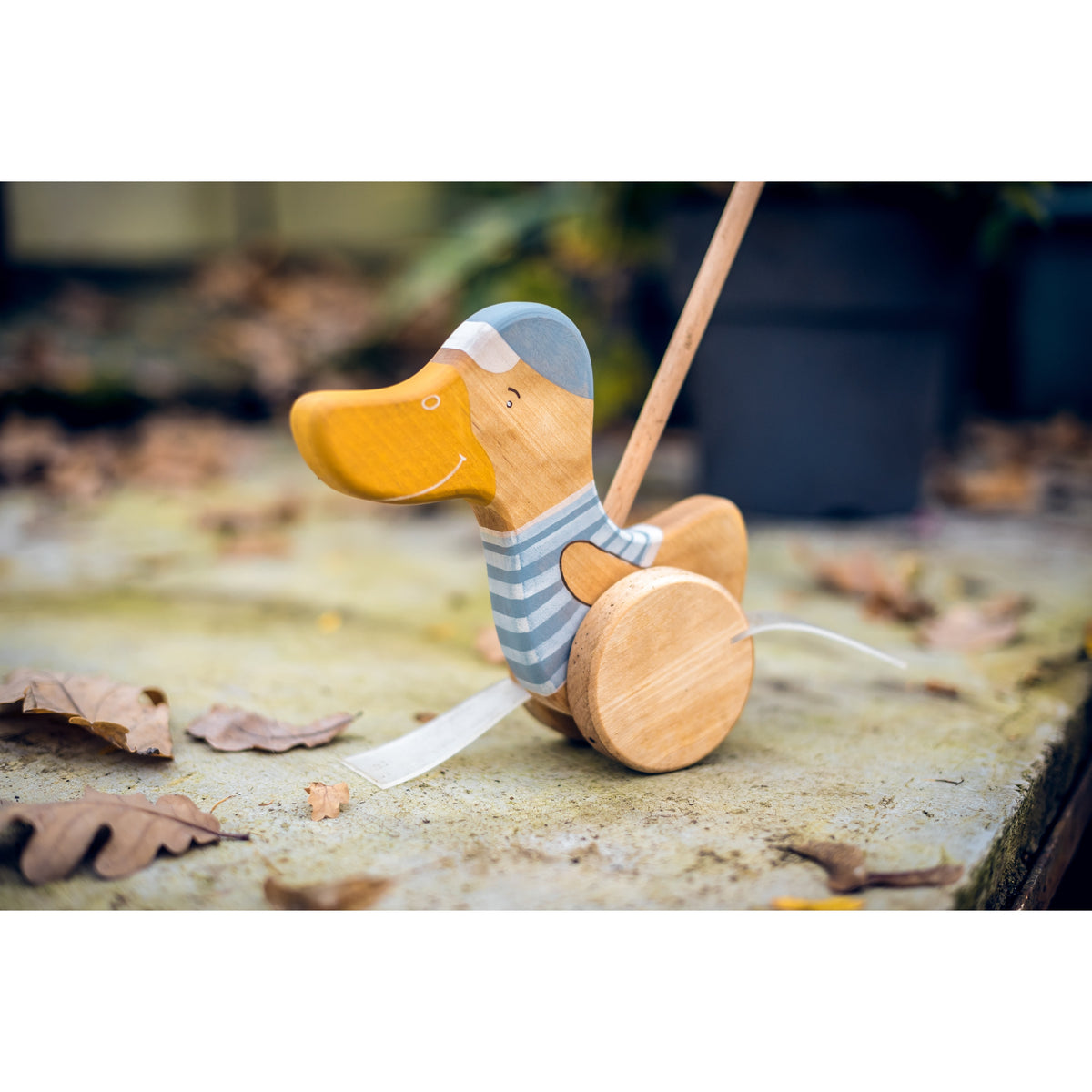 Push Toy Duck