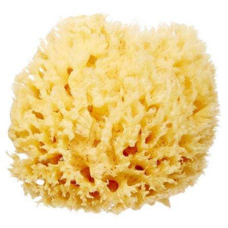 Natural Bath Sea Sponge