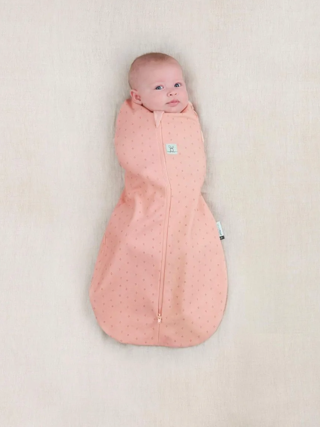 Ergococoon Swaddle Bag - Berries (1.0 Tog)