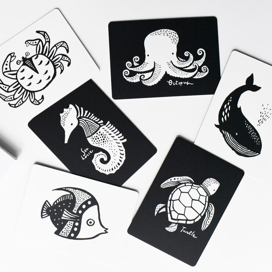 Wee Gallery Art Cards - Ocean Collection