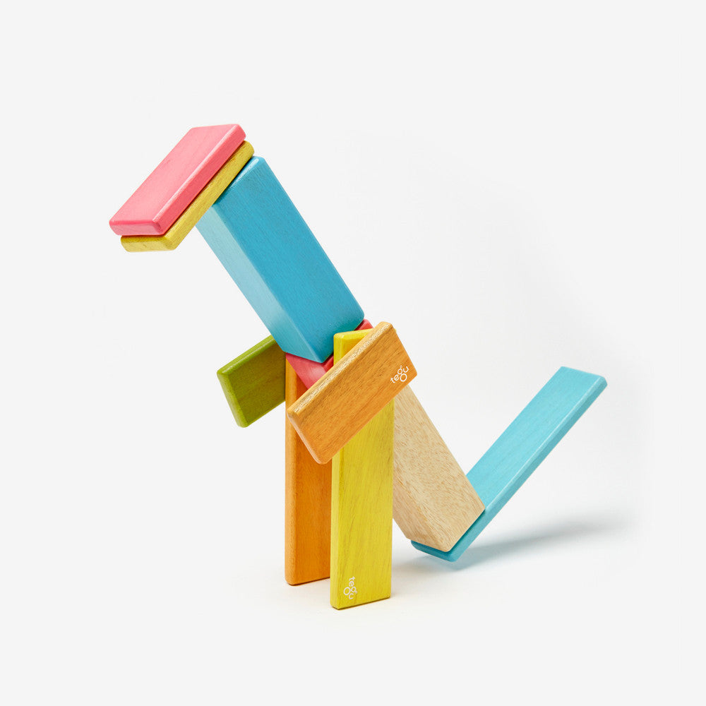 Tegu 14 Piece Set - Assorted Colors