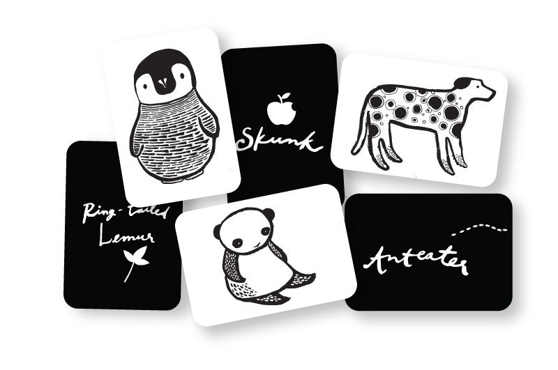 Wee Gallery Art Cards - Black & White Collection