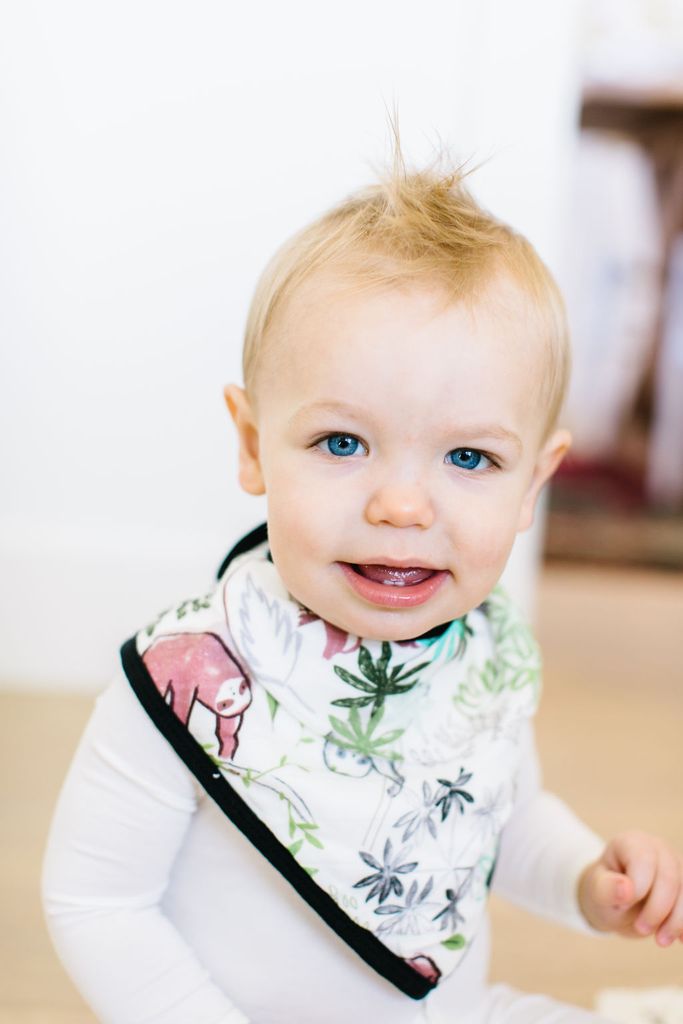 Loulou Lollipop Bandana Bib Set - Sloth